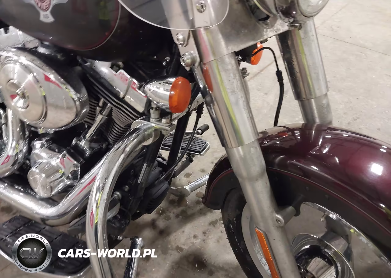 2005 Harley-Davidson Flstf VIN:1HD1BMY385Y013185 - 16