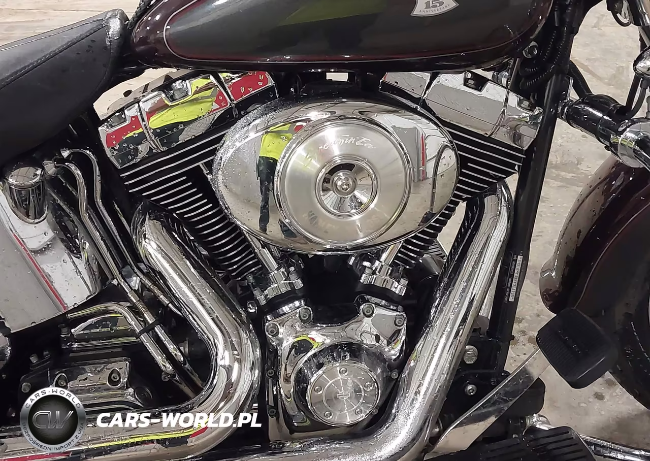 2005 Harley-Davidson Flstf VIN:1HD1BMY385Y013185 - 8