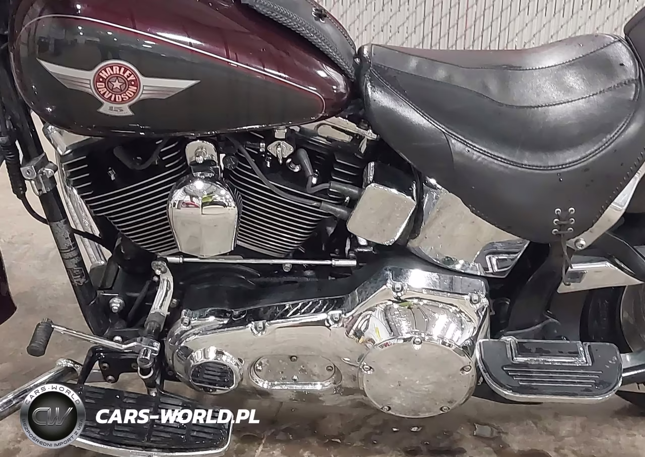 2005 Harley-Davidson Flstf VIN:1HD1BMY385Y013185 - 9