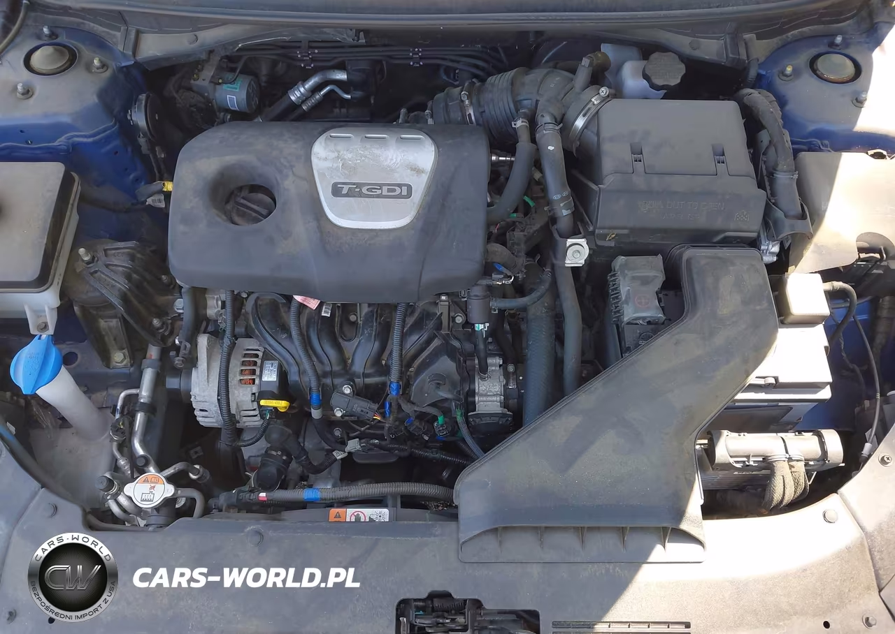 2019 Hyundai Sonata Eco VIN:5NPE24AA7KH774282 - 10