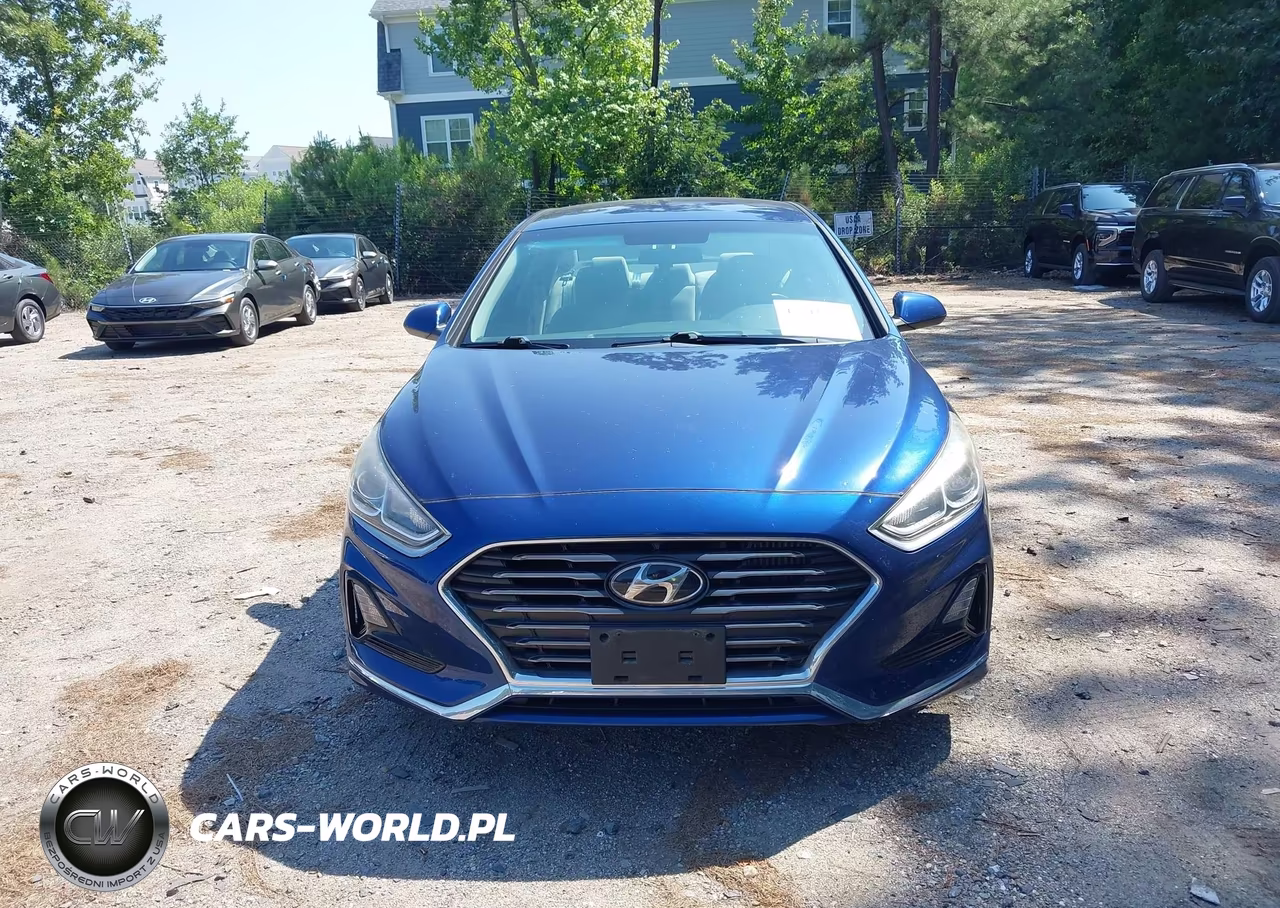 2019 Hyundai Sonata Eco VIN:5NPE24AA7KH774282 - 12