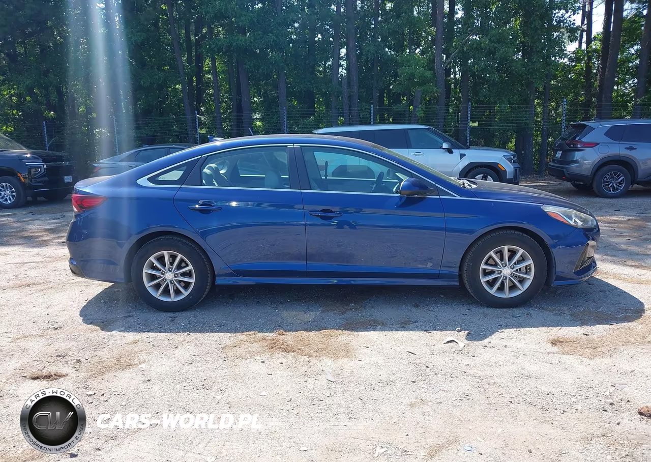 2019 Hyundai Sonata Eco VIN:5NPE24AA7KH774282 - 13