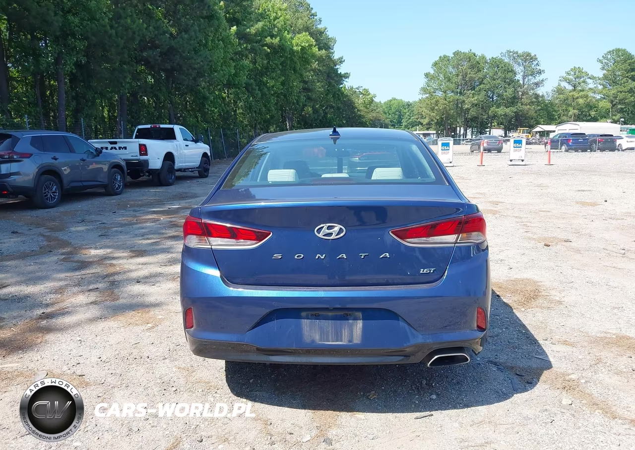 2019 Hyundai Sonata Eco VIN:5NPE24AA7KH774282 - 16