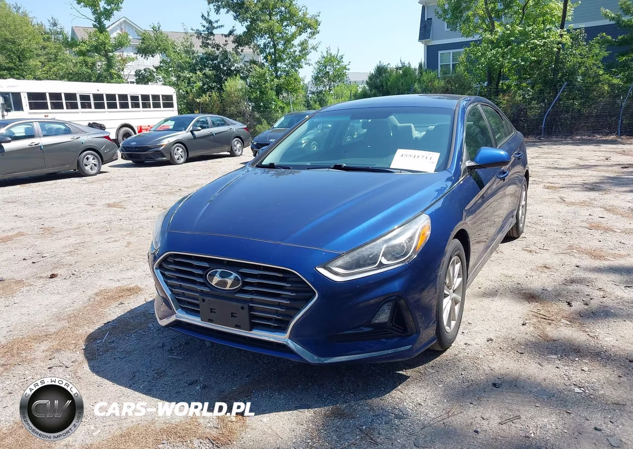 2019 Hyundai Sonata Eco VIN:5NPE24AA7KH774282 - 2