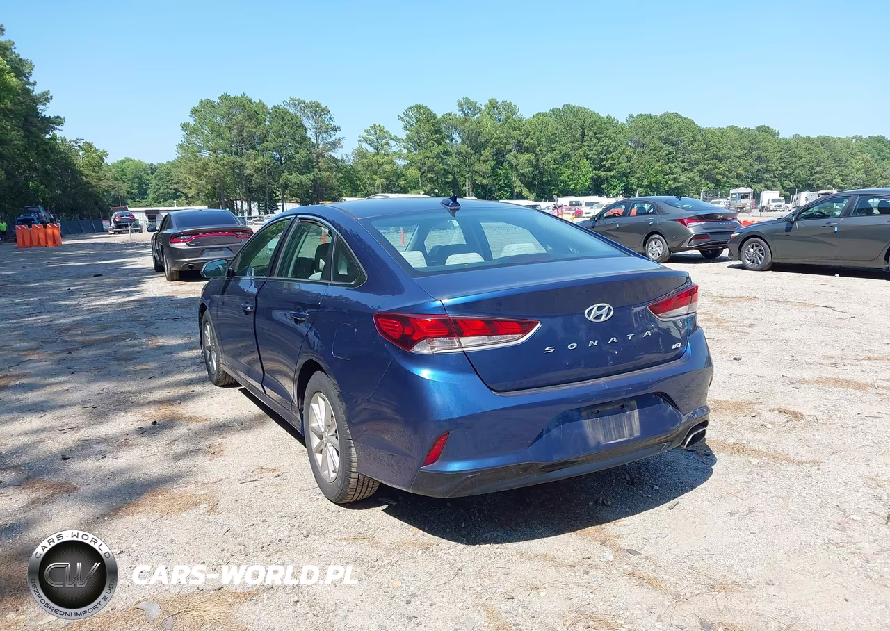 2019 Hyundai Sonata Eco VIN:5NPE24AA7KH774282 - 3