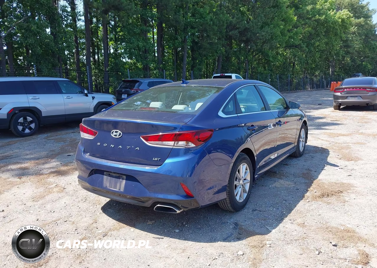 2019 Hyundai Sonata Eco VIN:5NPE24AA7KH774282 - 4