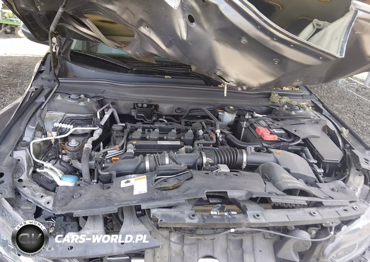 2019 Honda Accord Lx VIN:1HGCV1F11KA027971 - 10