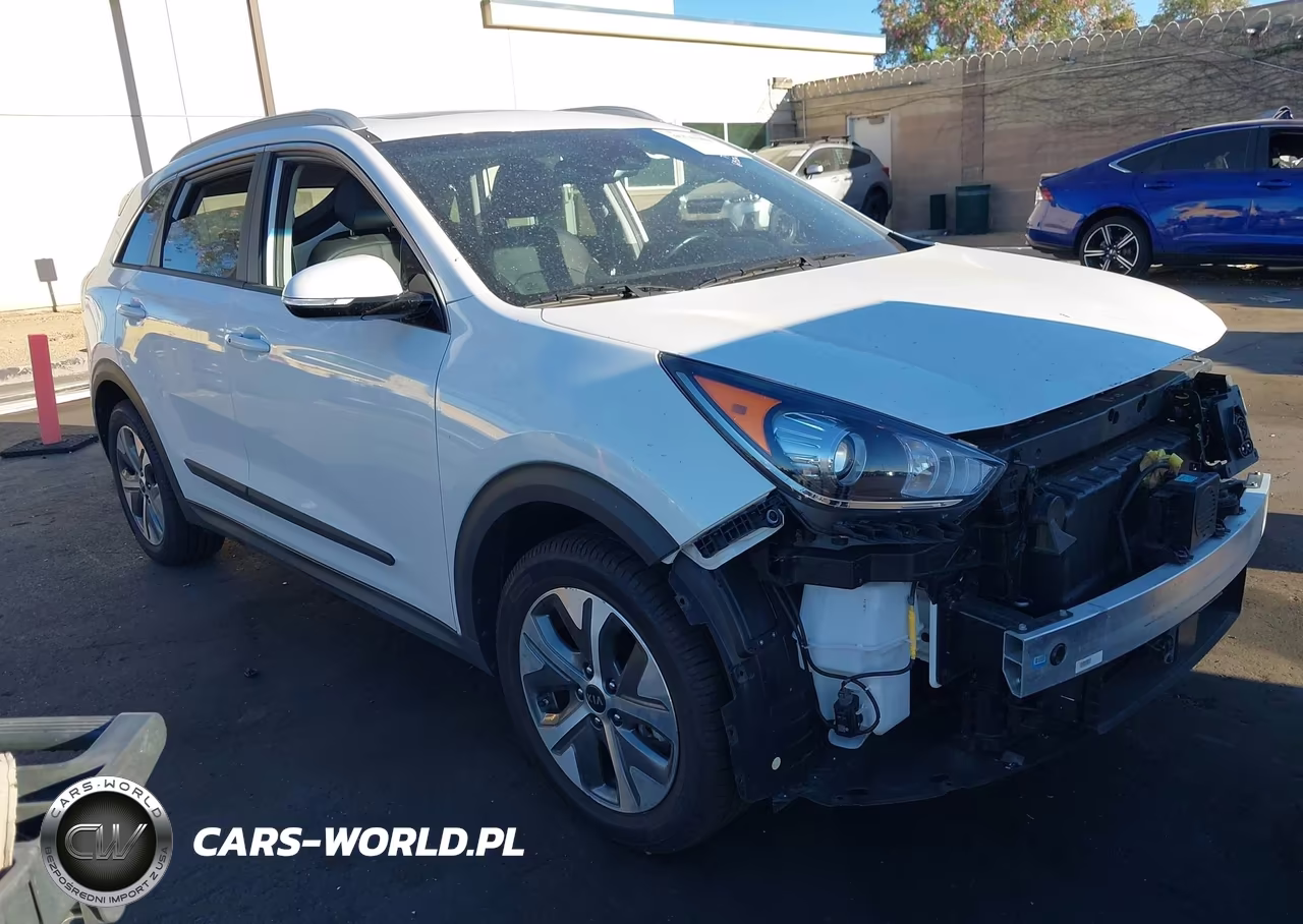 2019 Kia Niro Ev Ex Premium