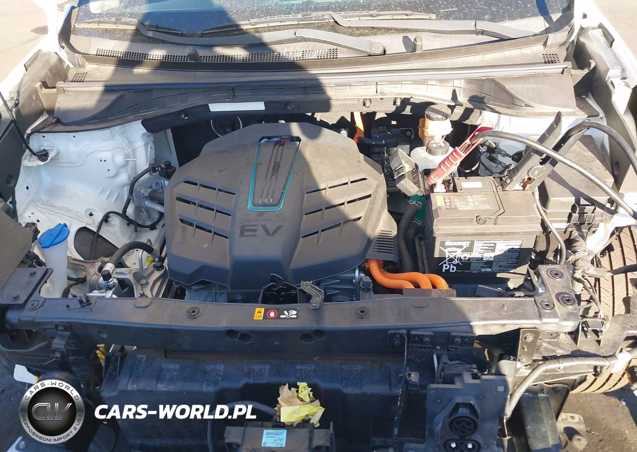2019 Kia Niro Ev Ex Premium VIN:KNDCE3LG3K5017826 - 10