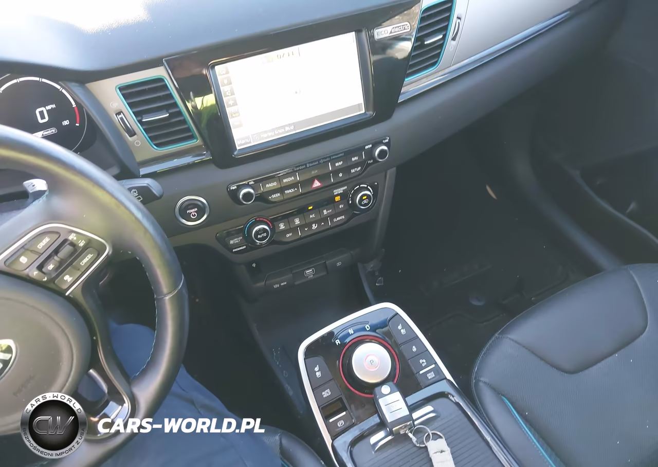 2019 Kia Niro Ev Ex Premium VIN:KNDCE3LG3K5017826 - 11