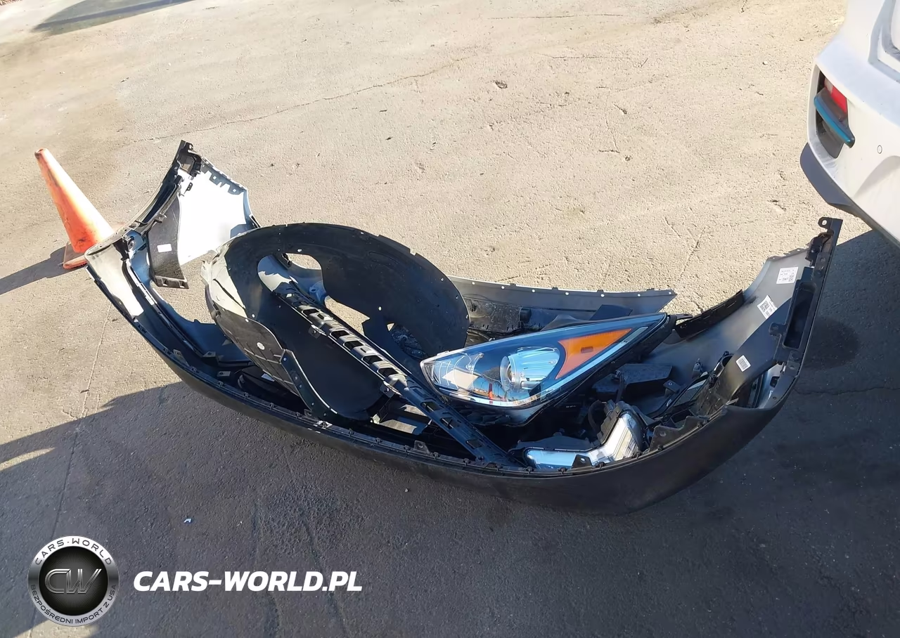 2019 Kia Niro Ev Ex Premium VIN:KNDCE3LG3K5017826 - 12
