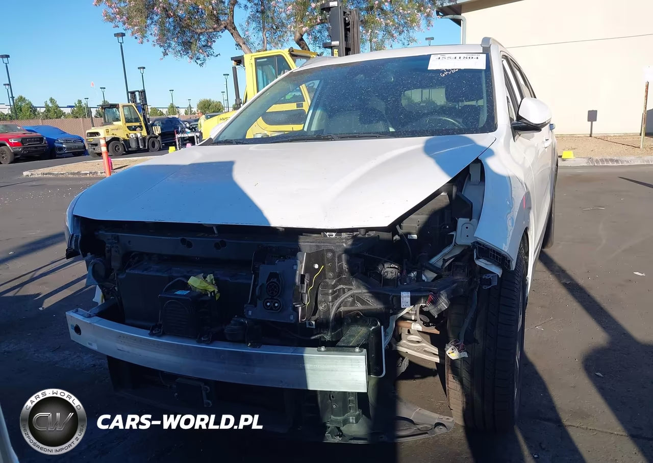 2019 Kia Niro Ev Ex Premium VIN:KNDCE3LG3K5017826 - 13