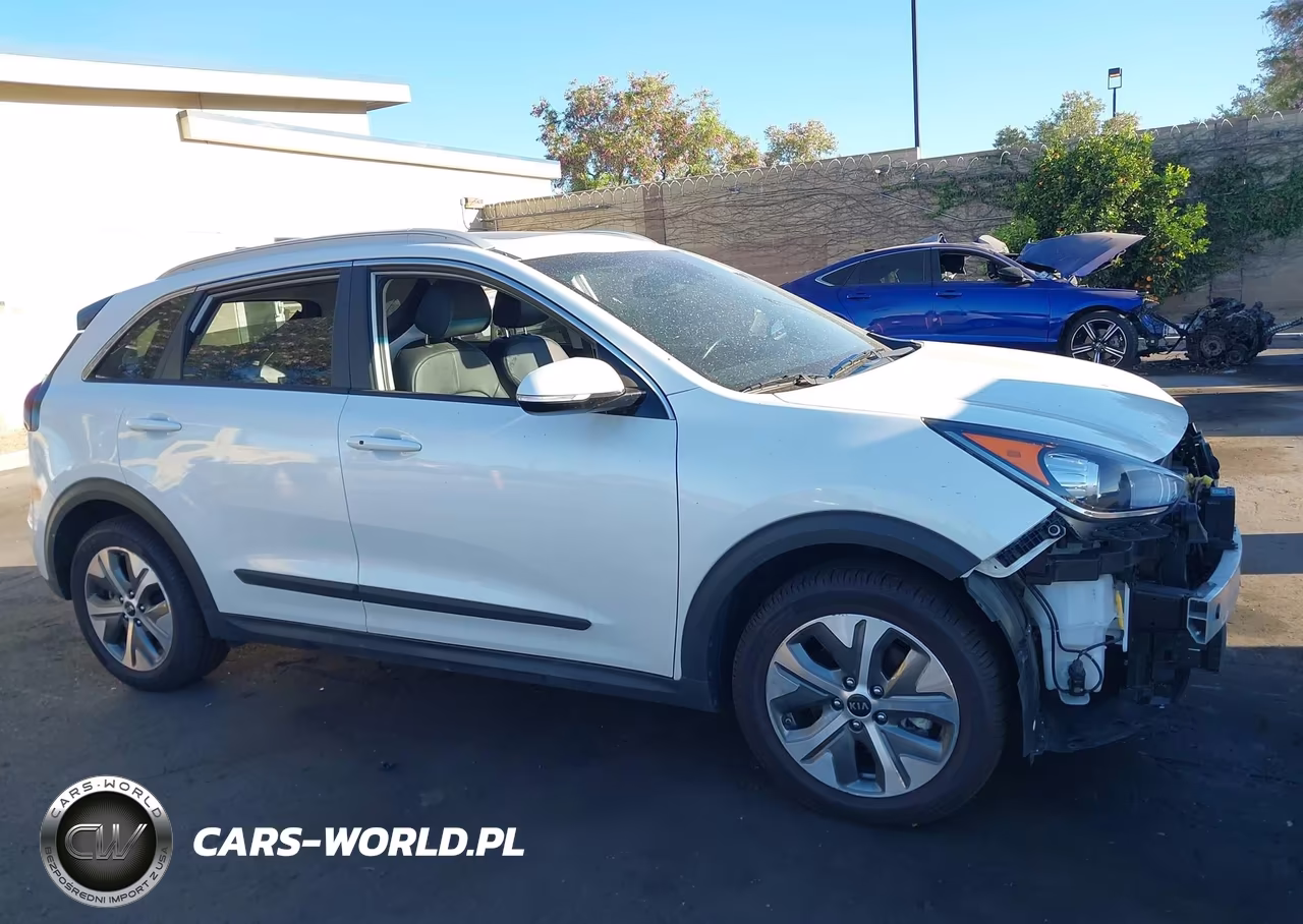 2019 Kia Niro Ev Ex Premium VIN:KNDCE3LG3K5017826 - 14