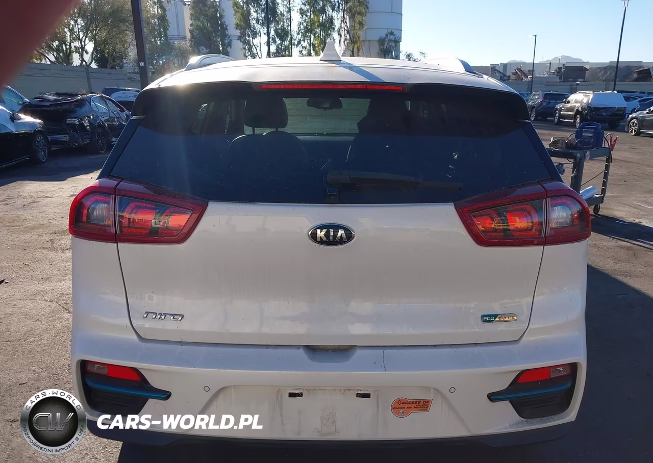 2019 Kia Niro Ev Ex Premium VIN:KNDCE3LG3K5017826 - 17