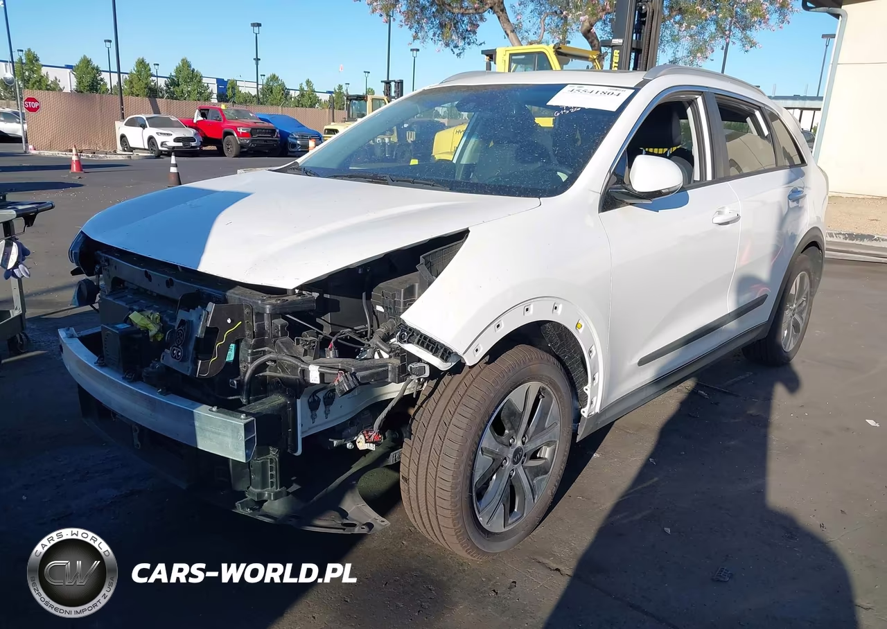 2019 Kia Niro Ev Ex Premium VIN:KNDCE3LG3K5017826 - 2