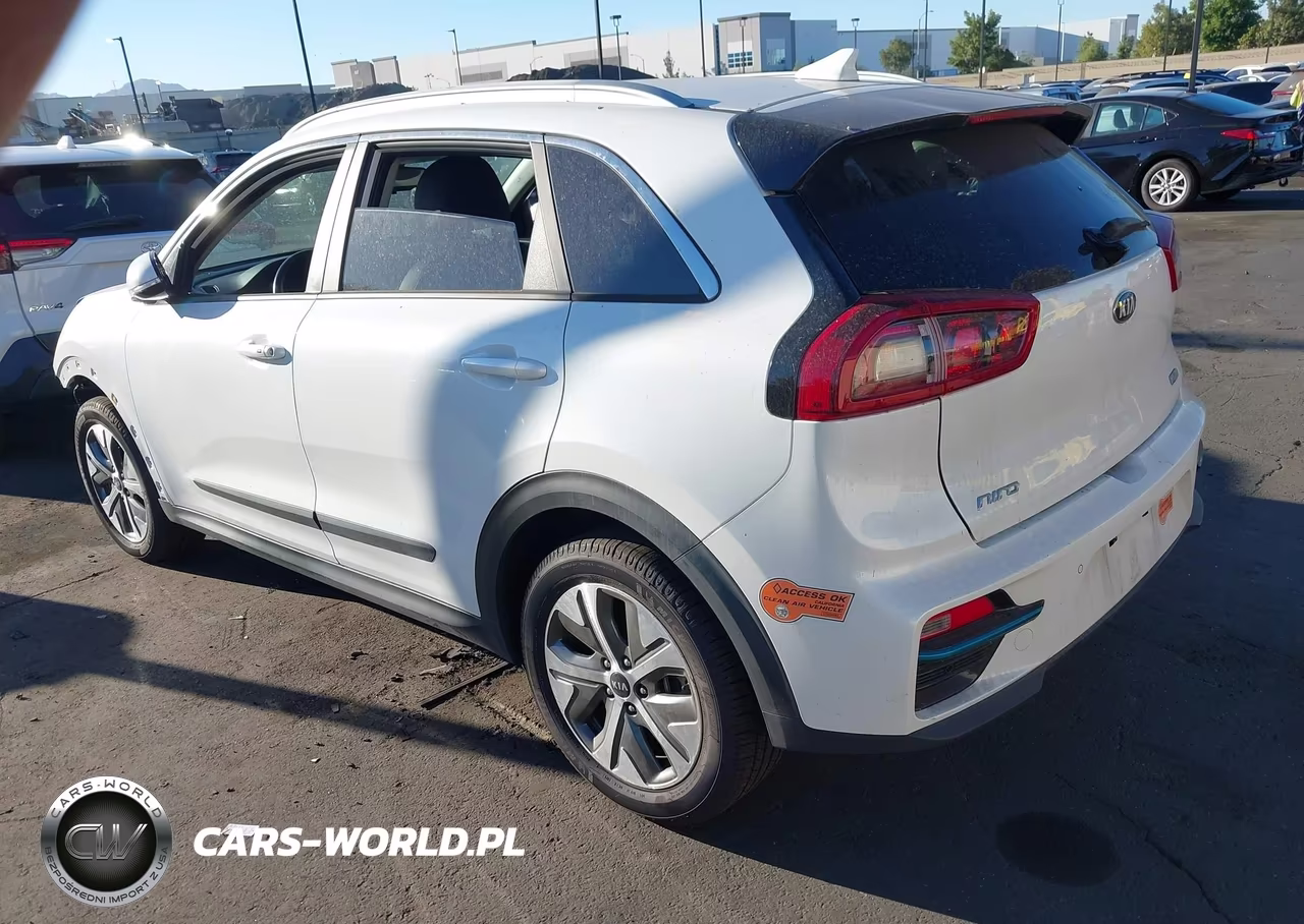 2019 Kia Niro Ev Ex Premium VIN:KNDCE3LG3K5017826 - 3