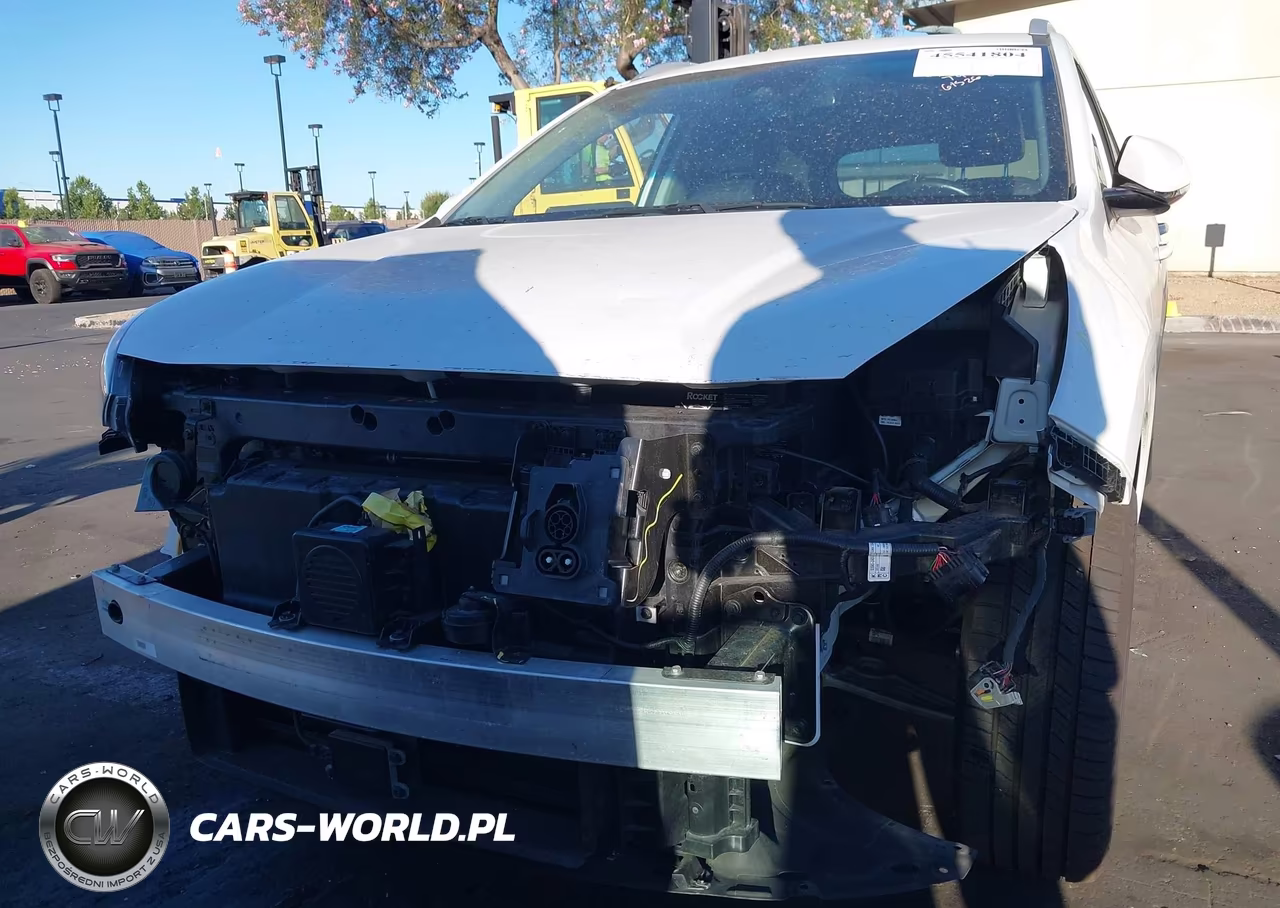 2019 Kia Niro Ev Ex Premium VIN:KNDCE3LG3K5017826 - 6