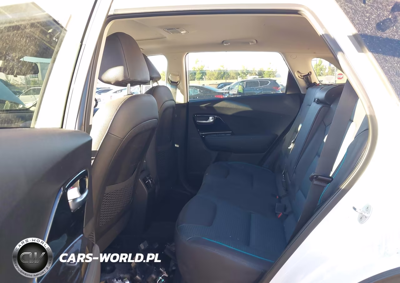 2019 Kia Niro Ev Ex Premium VIN:KNDCE3LG3K5017826 - 8