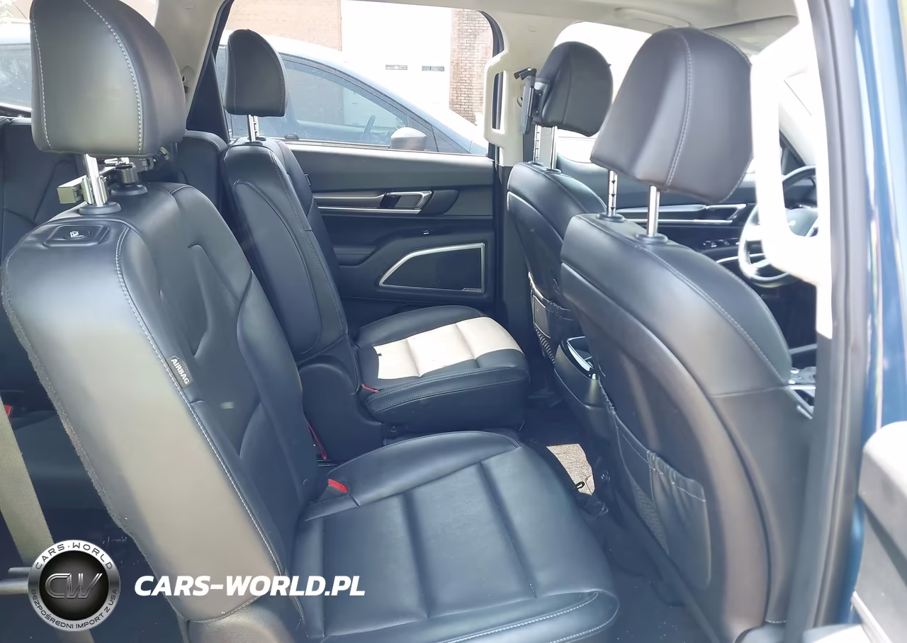 2024 Kia Telluride S VIN:5XYP6DGC6RG431583 - 8