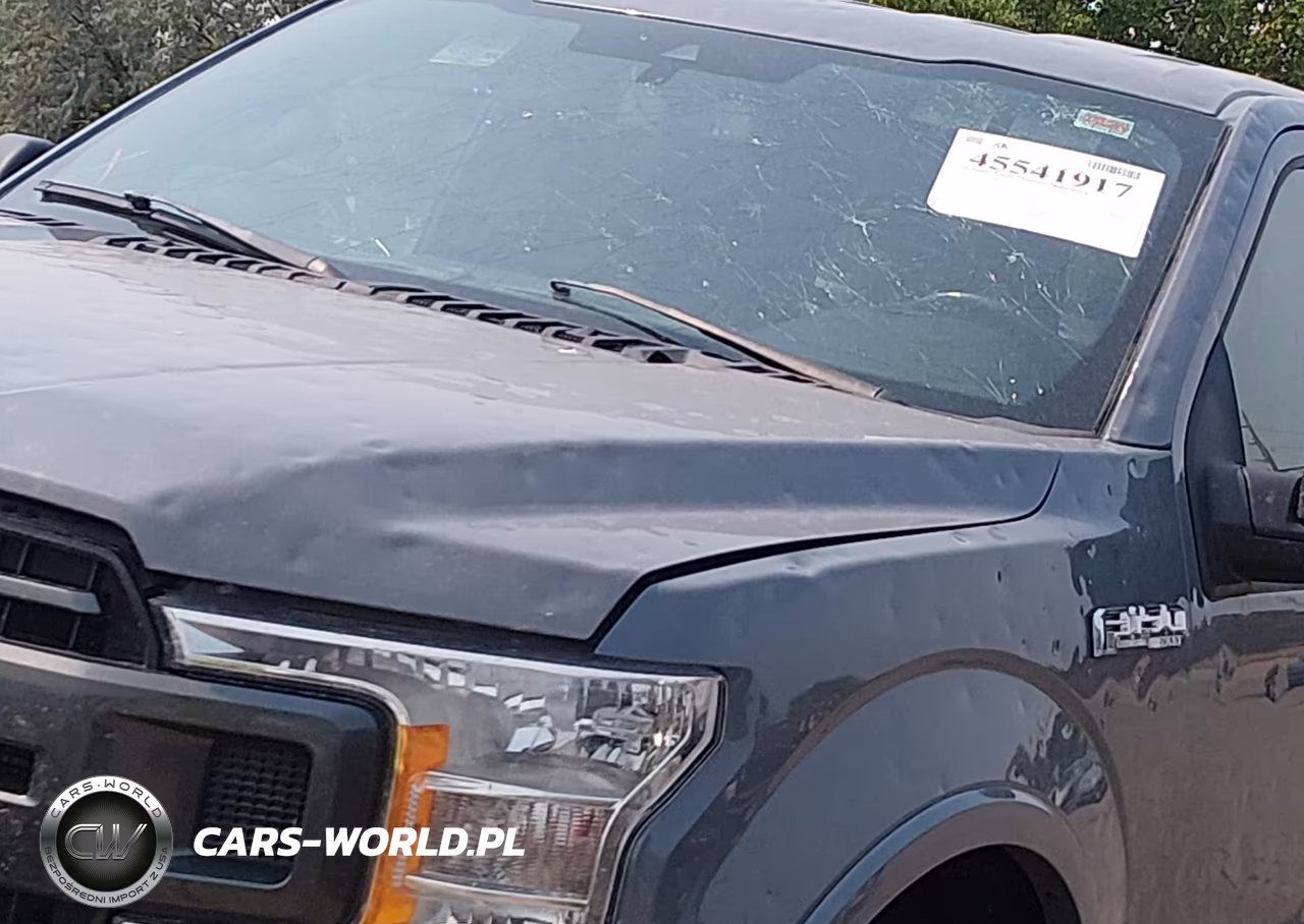 2019 Ford F-150 Xlt VIN:1FTEW1EP9KKE49278 - 18