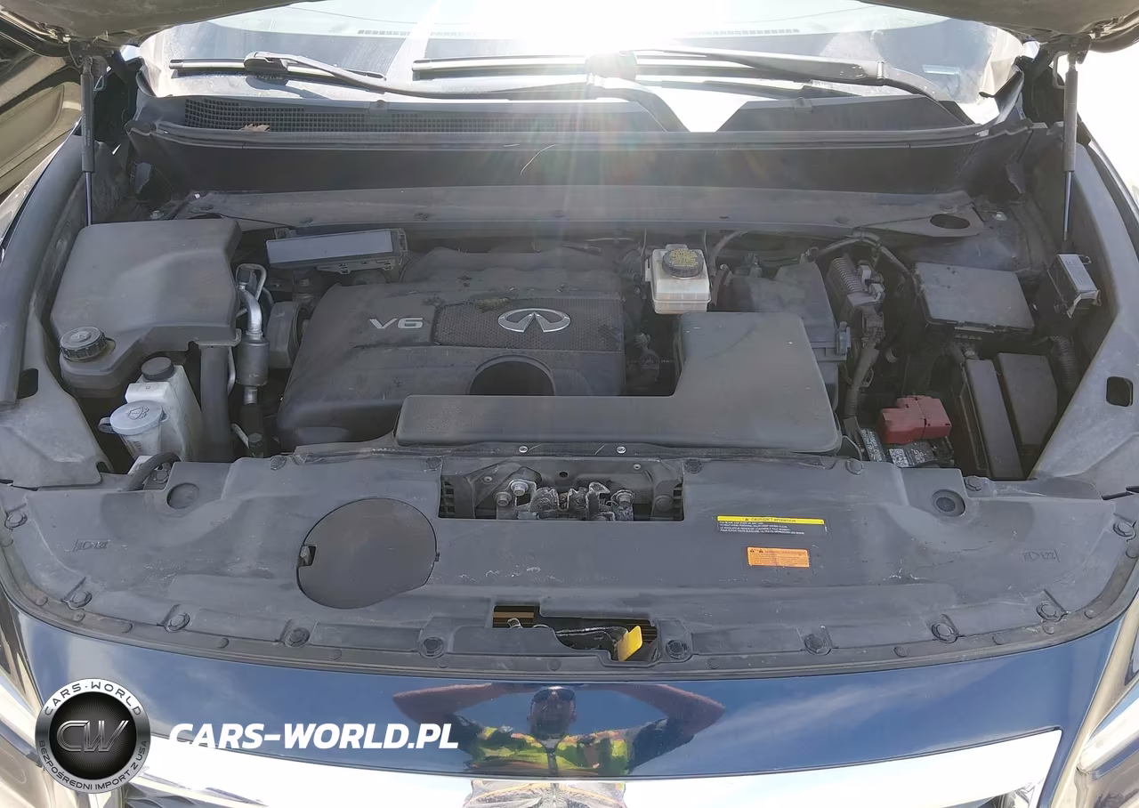 2017 Infiniti Qx60 VIN:5N1DL0MM2HC530353 - 10