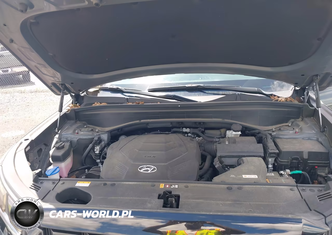 2023 Hyundai Palisade Xrt VIN:KM8R3DGE3PU576512 - 10