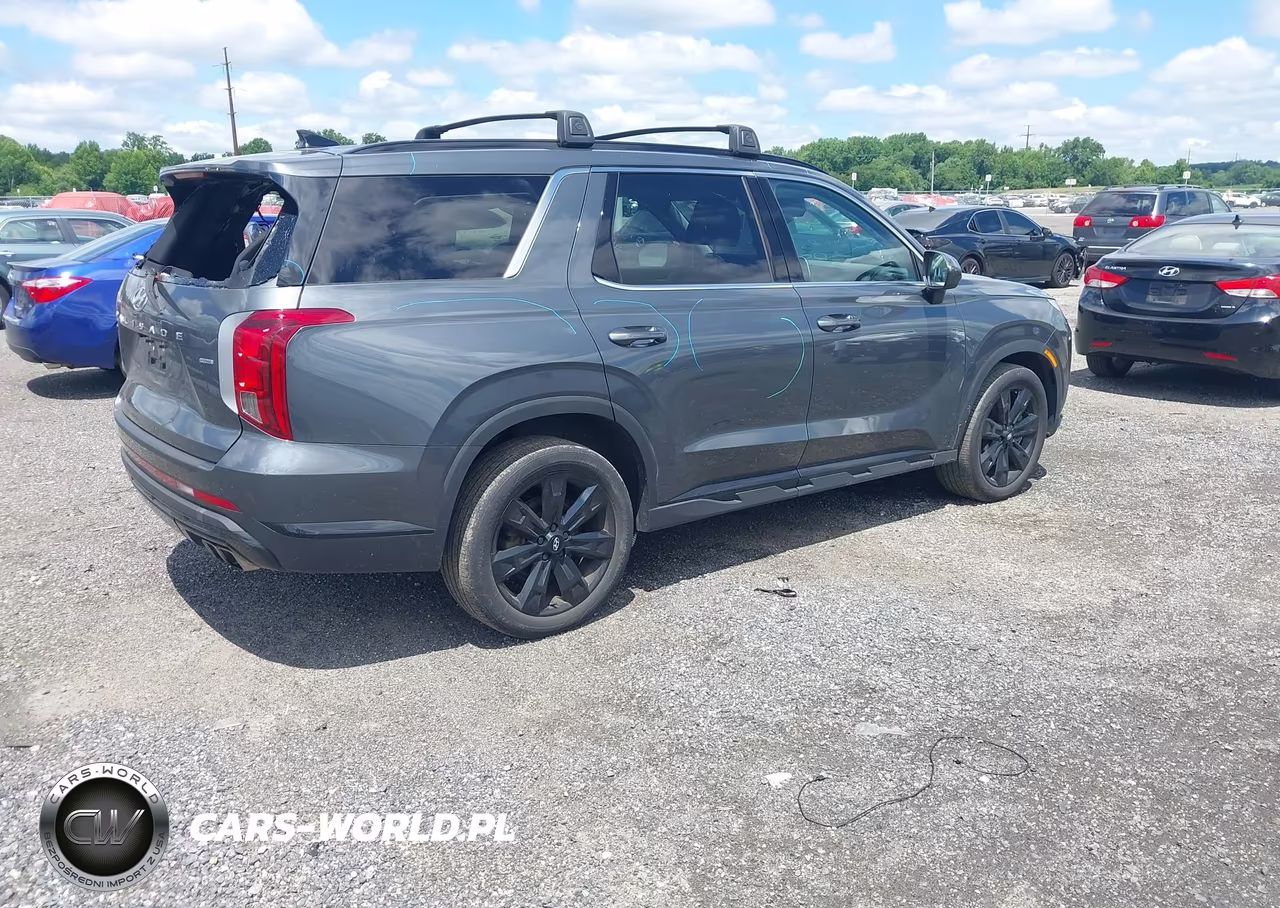 2023 Hyundai Palisade Xrt VIN:KM8R3DGE3PU576512 - 4