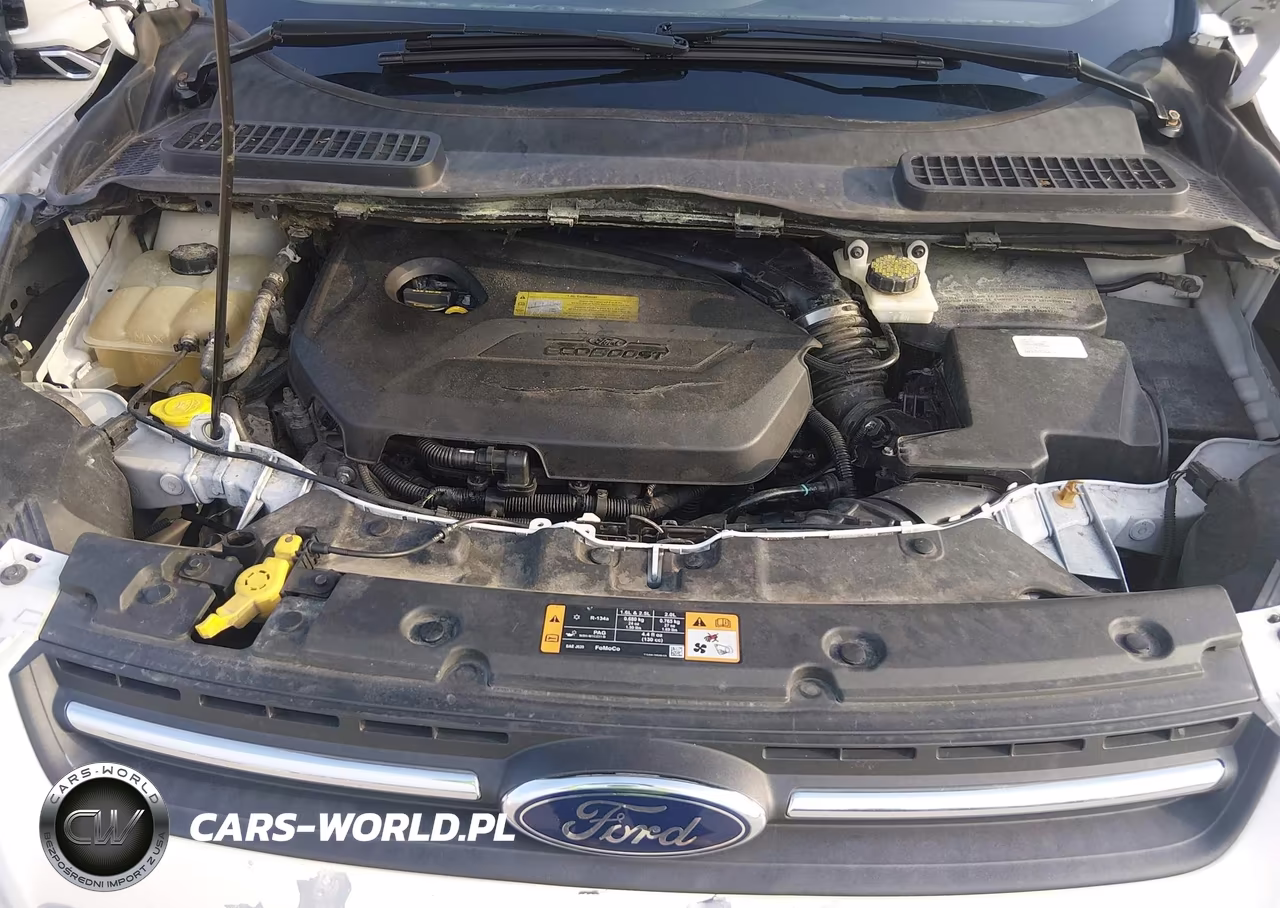 2014 Ford Escape Se VIN:1FMCU9GX6EUB04223 - 10