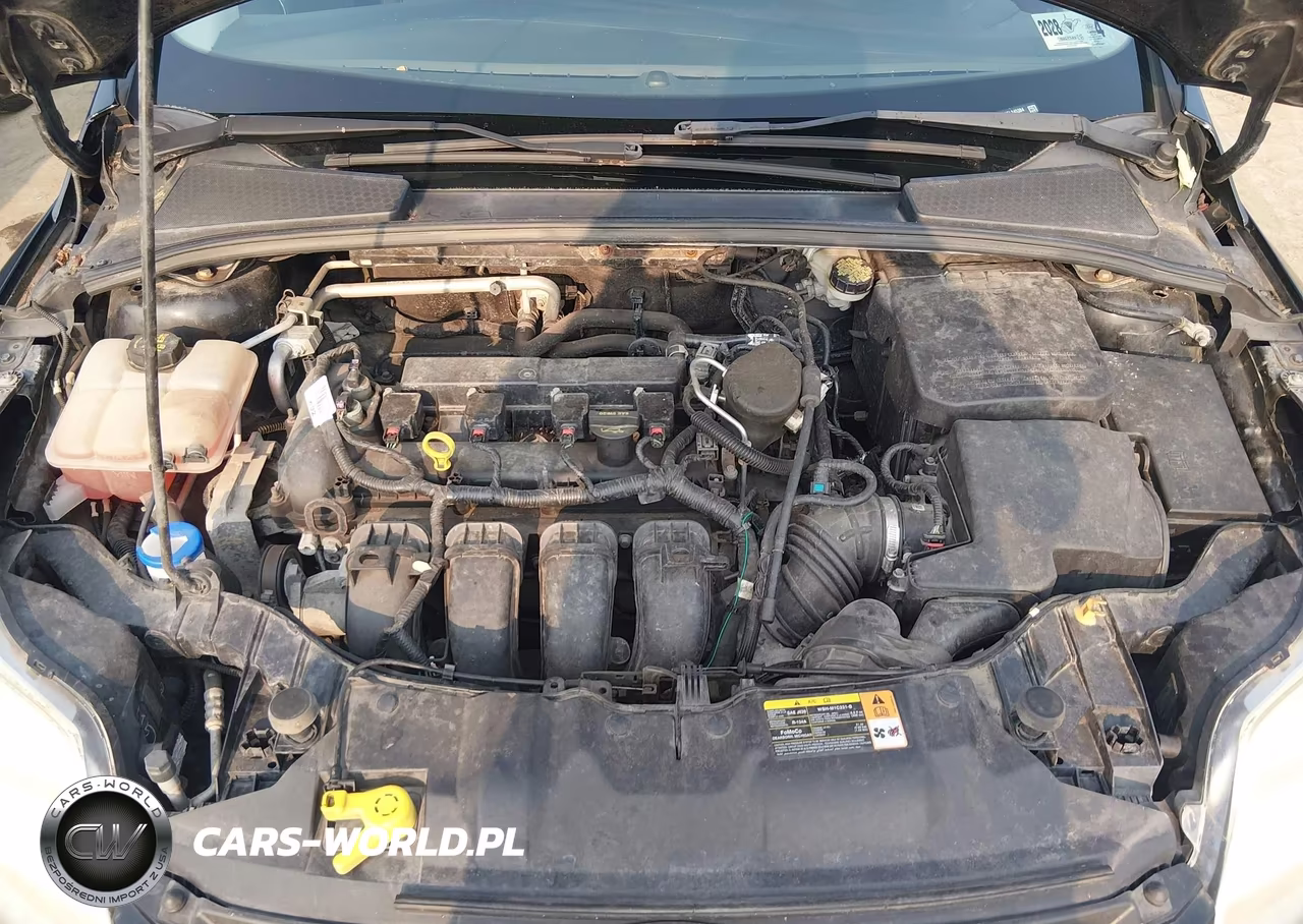 2014 Ford Focus Se VIN:1FADP3K25EL245384 - 10