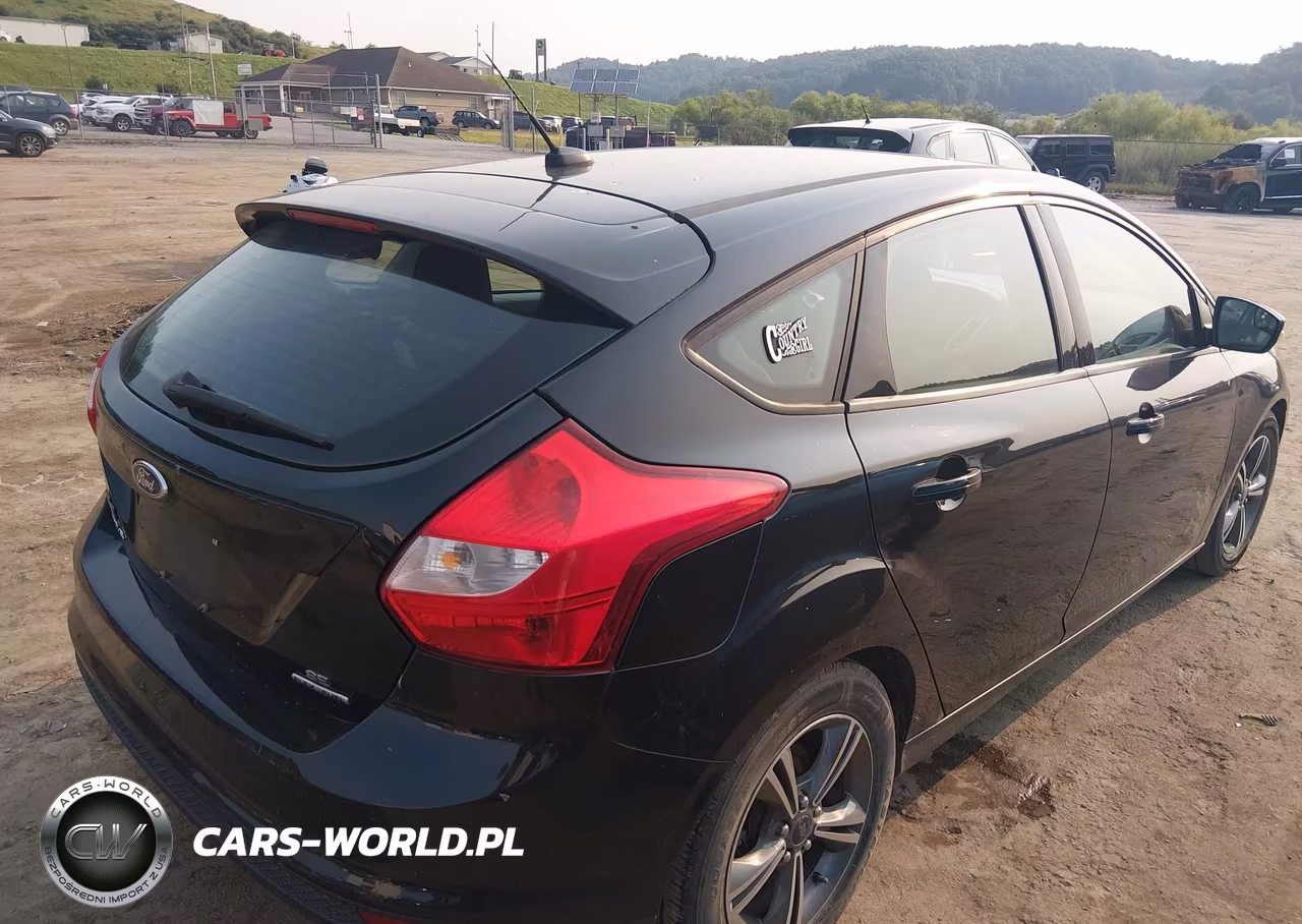 2014 Ford Focus Se VIN:1FADP3K25EL245384 - 4