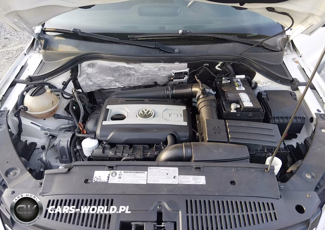 2015 Volkswagen Tiguan S VIN:WVGAV7AX8FW555676 - 10