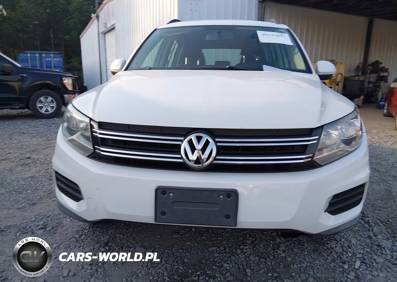 2015 Volkswagen Tiguan S VIN:WVGAV7AX8FW555676 - 12