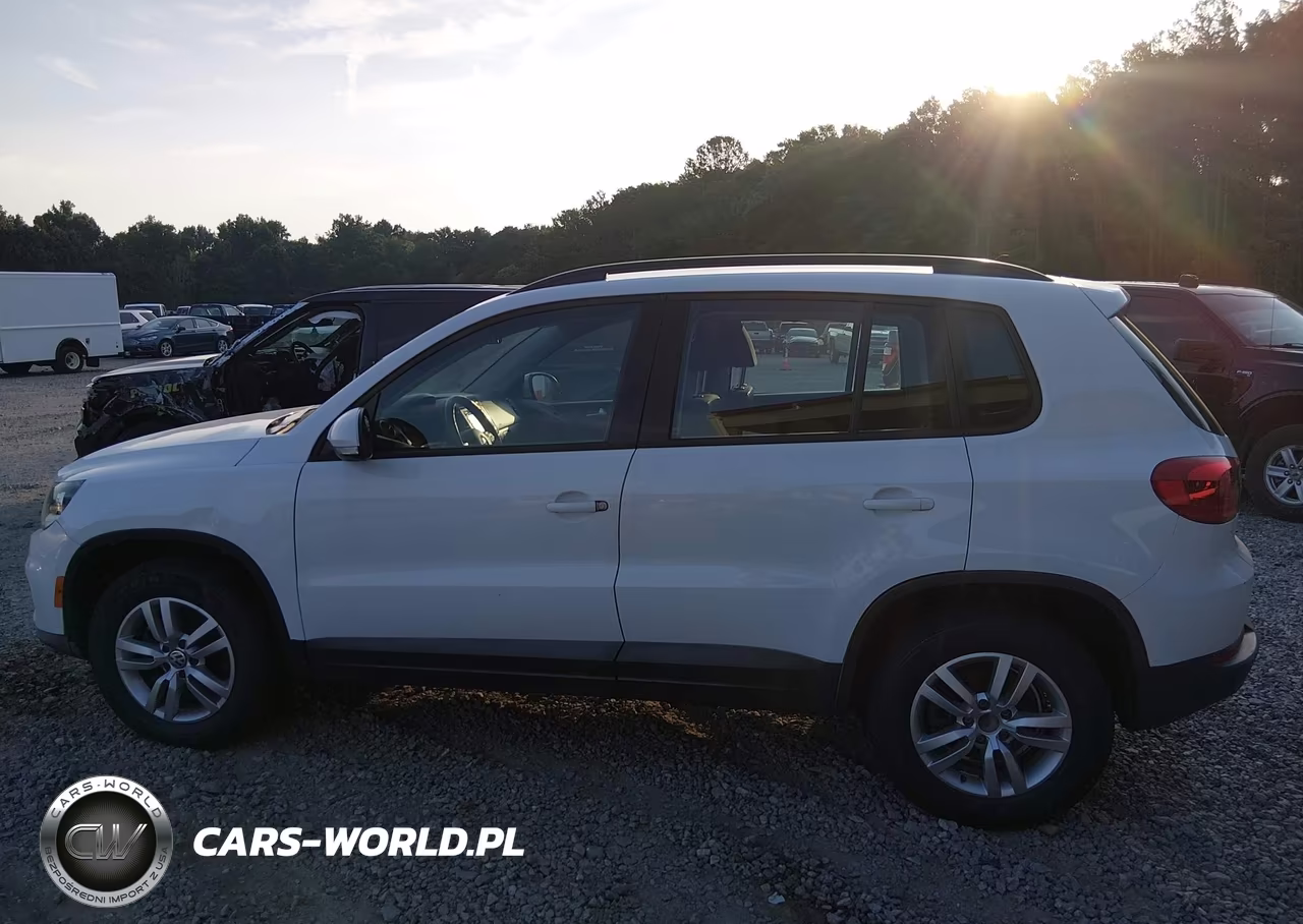 2015 Volkswagen Tiguan S VIN:WVGAV7AX8FW555676 - 14