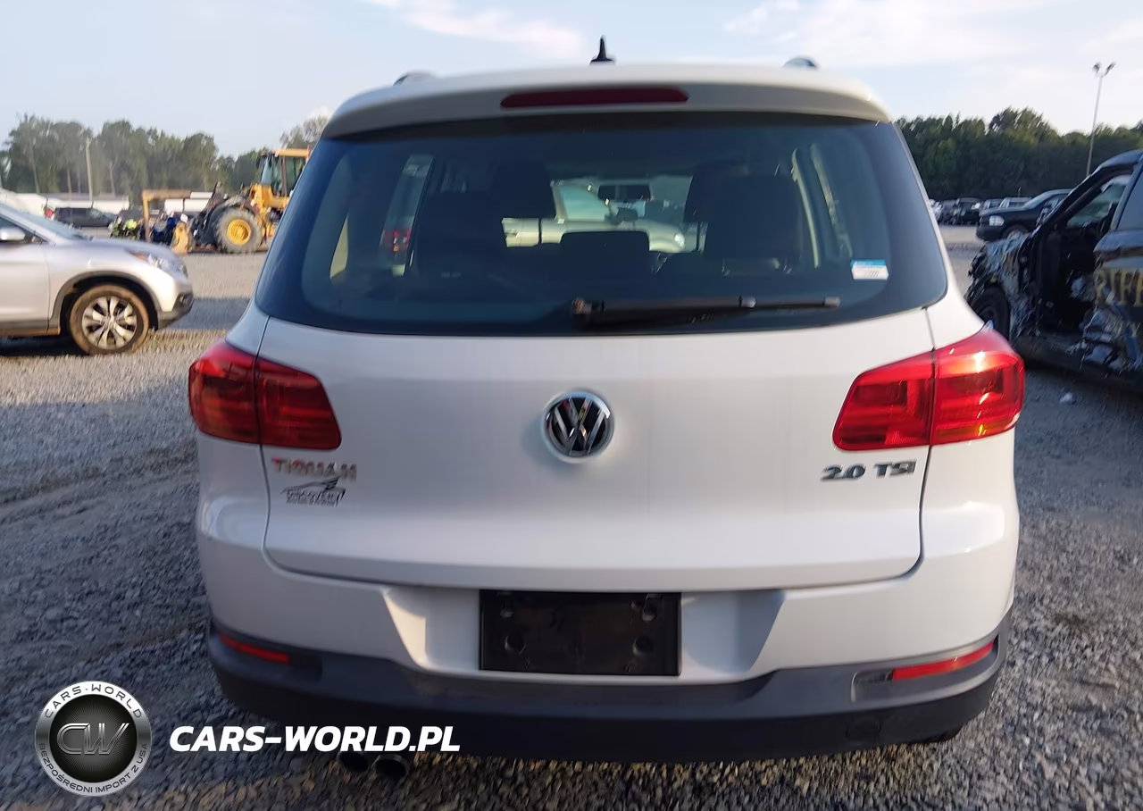 2015 Volkswagen Tiguan S VIN:WVGAV7AX8FW555676 - 16