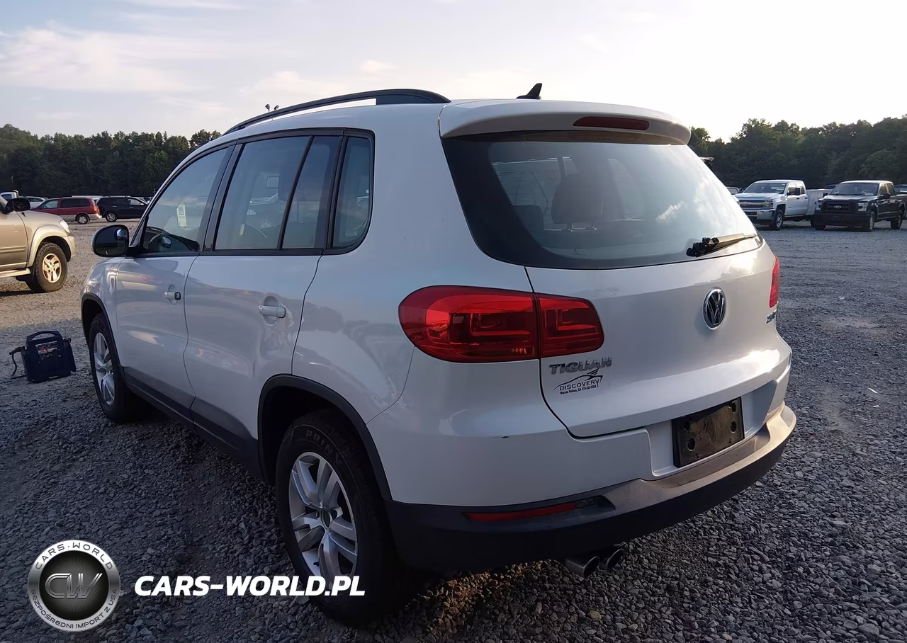 2015 Volkswagen Tiguan S VIN:WVGAV7AX8FW555676 - 3