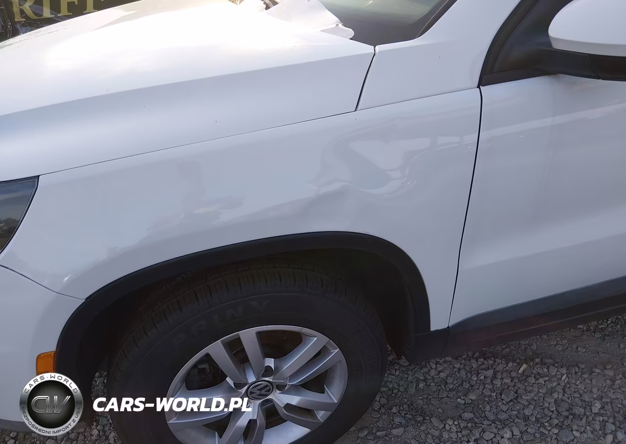2015 Volkswagen Tiguan S VIN:WVGAV7AX8FW555676 - 6
