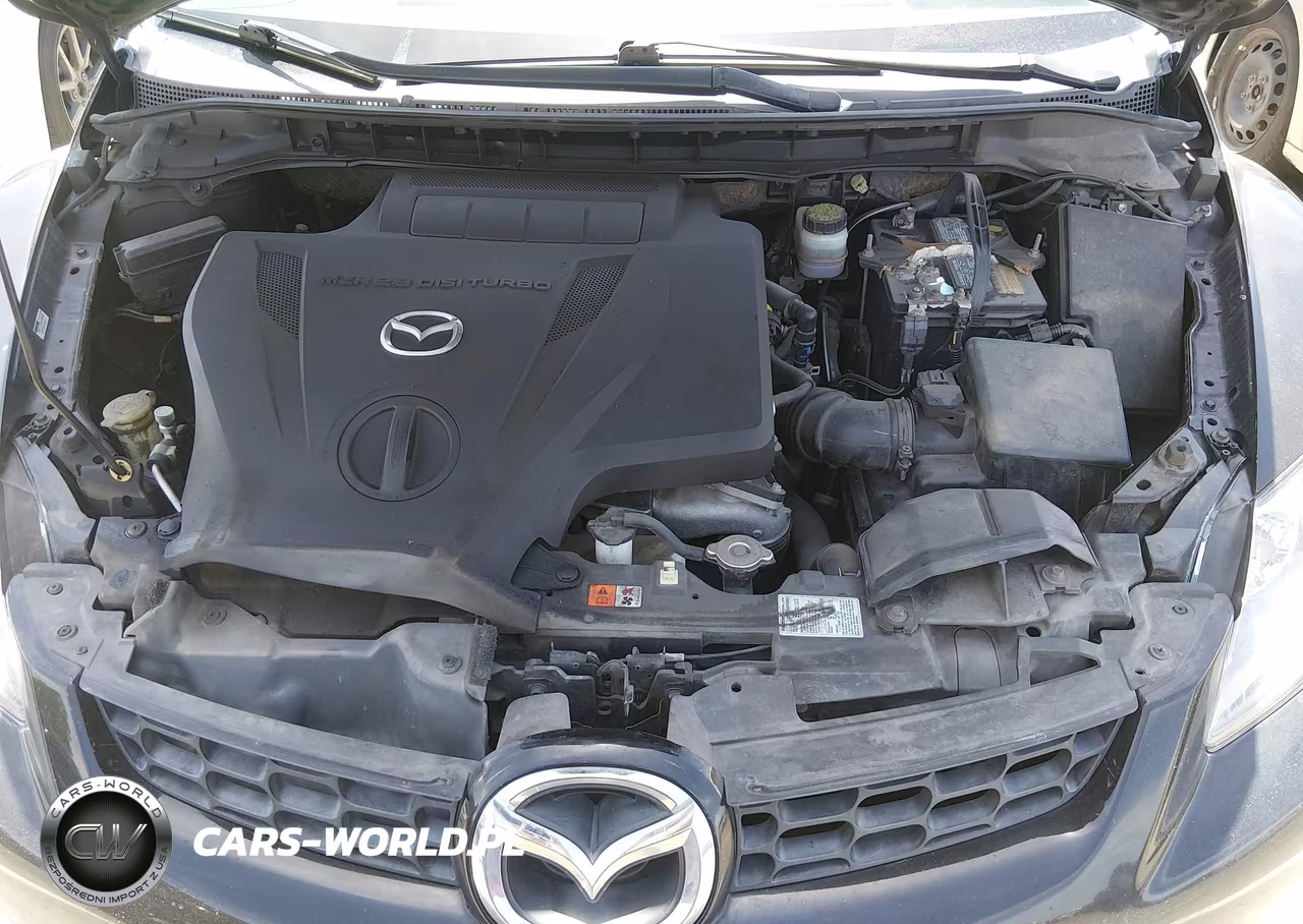 2009 Mazda Cx-7 Sport VIN:JM3ER29L990219984 - 10