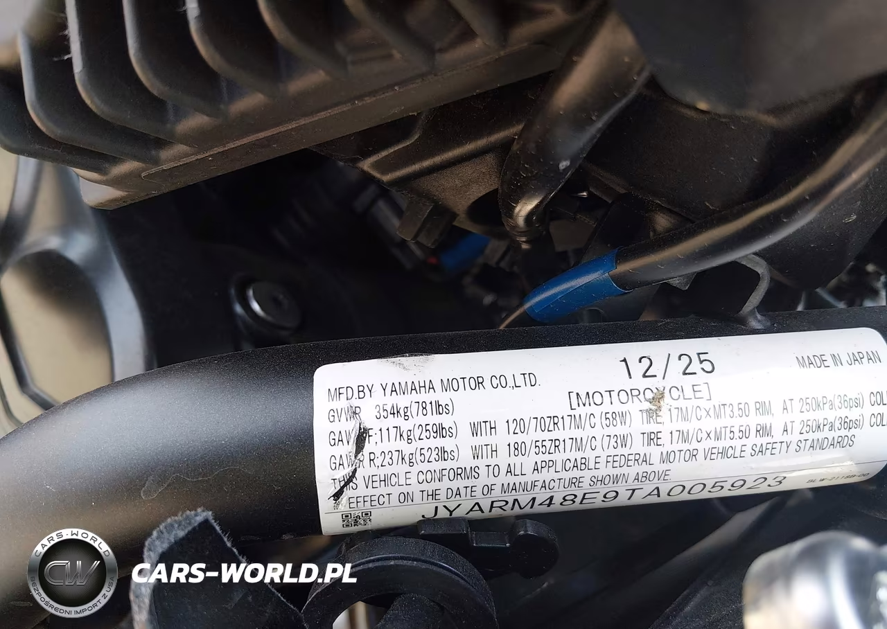 2026 Yamaha Mtn690 VIN:JYARM48E9TA005923 - 10