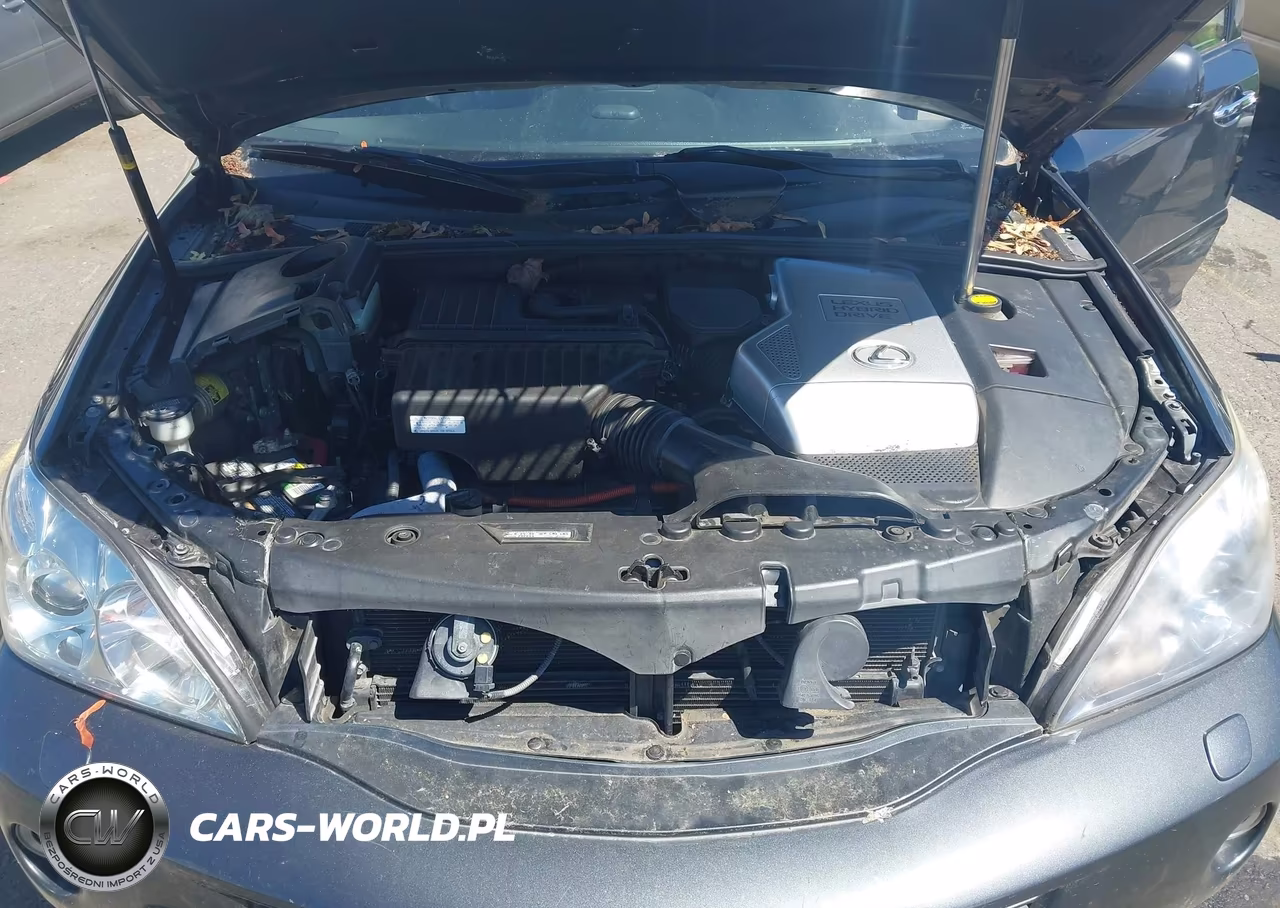 2008 Lexus Rx 400H VIN:JTJHW31U682855853 - 10