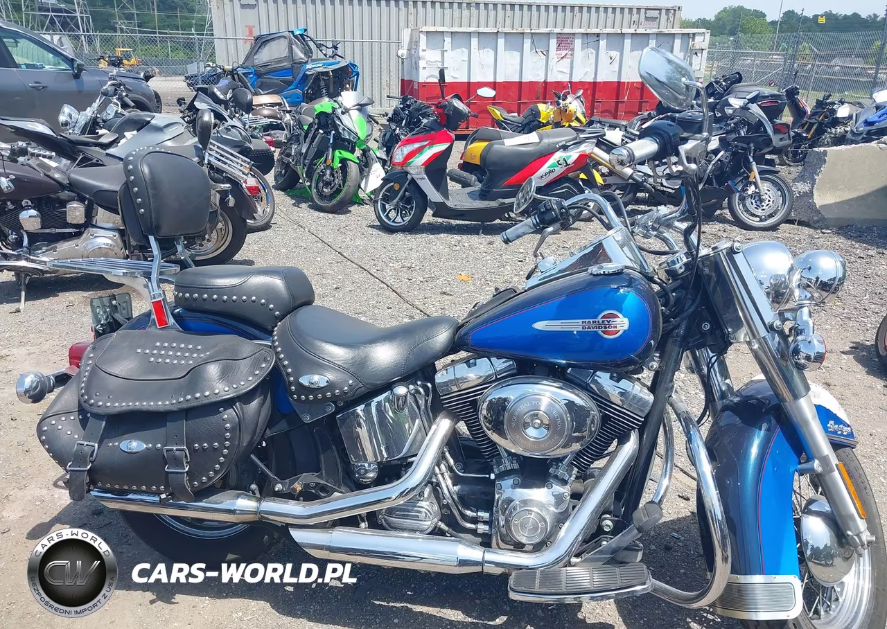 2004 Harley-Davidson Flstci VIN:1HD1BWB114Y040715 - 13