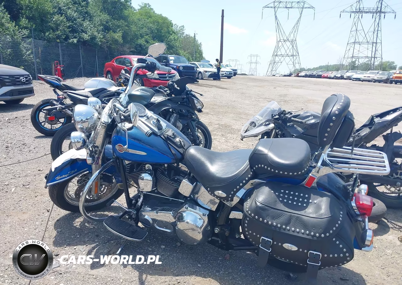 2004 Harley-Davidson Flstci VIN:1HD1BWB114Y040715 - 14