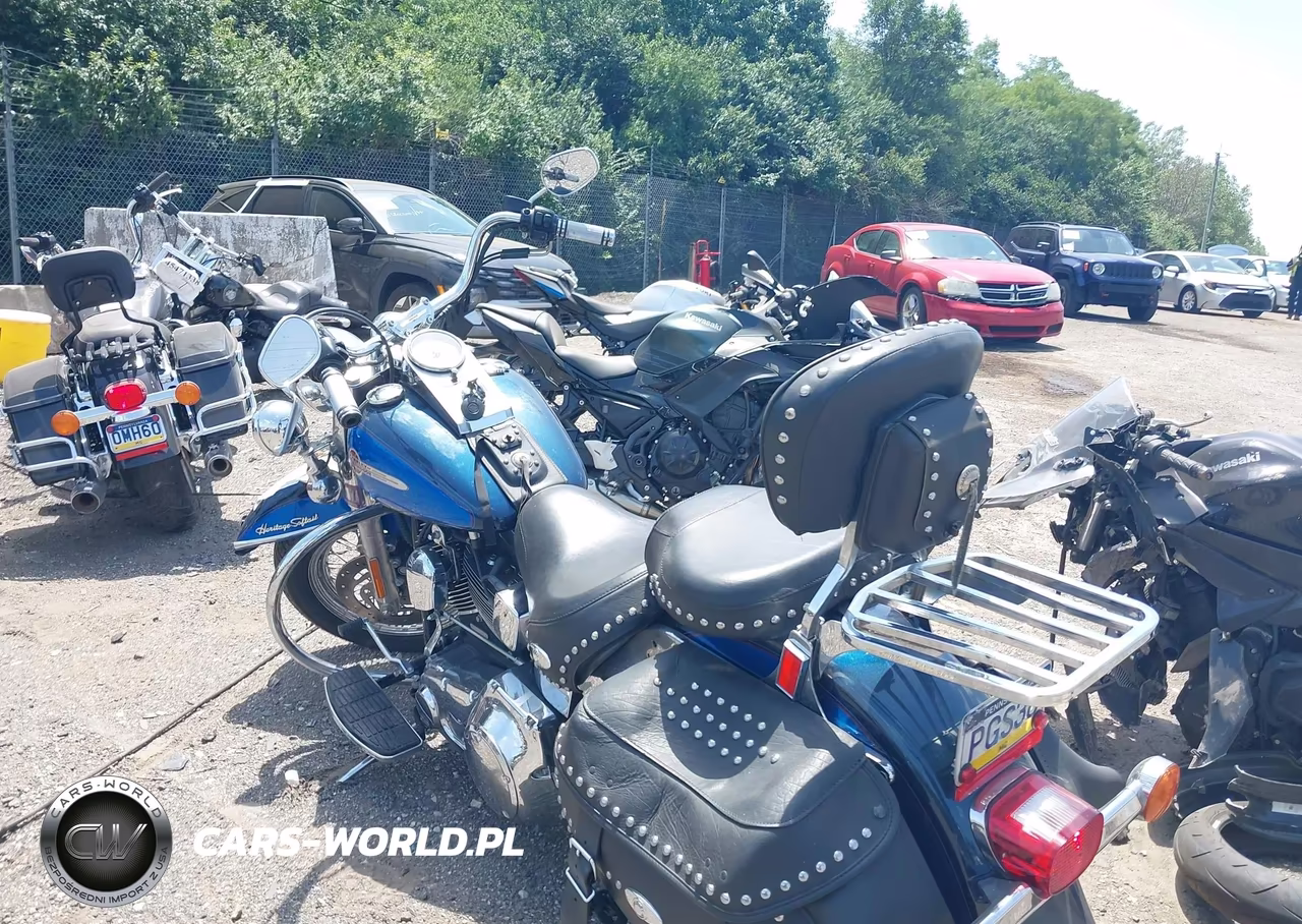 2004 Harley-Davidson Flstci VIN:1HD1BWB114Y040715 - 3
