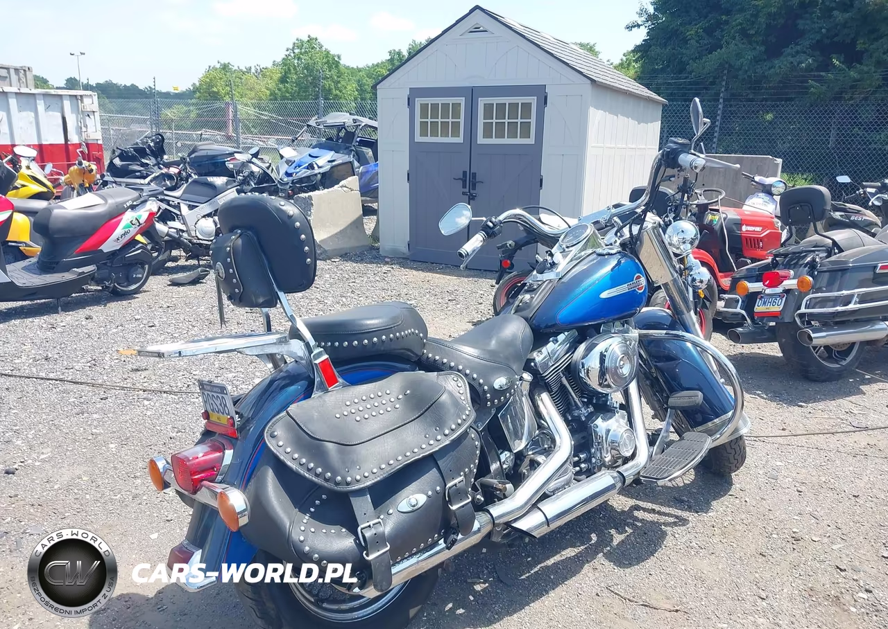 2004 Harley-Davidson Flstci VIN:1HD1BWB114Y040715 - 4