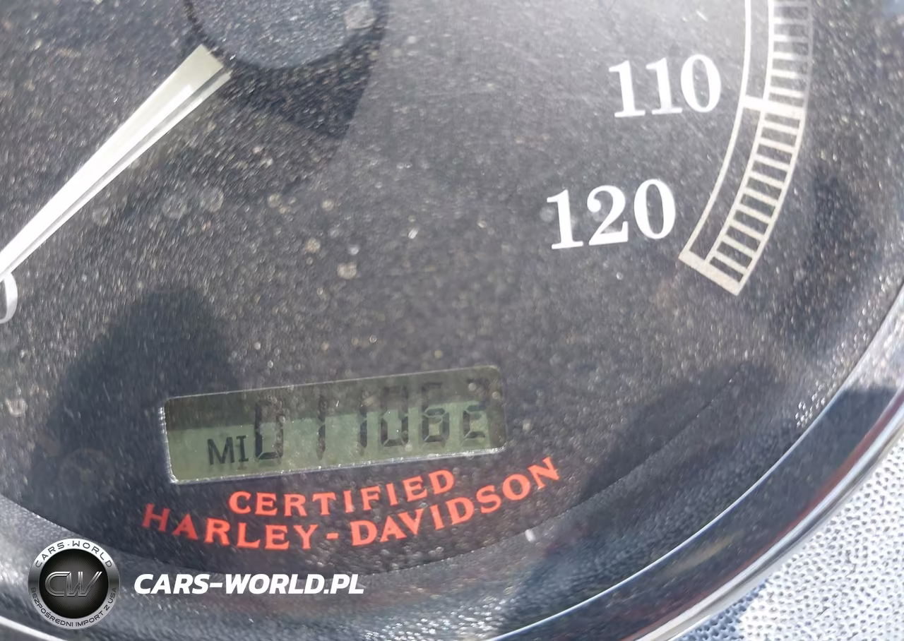 2004 Harley-Davidson Flstci VIN:1HD1BWB114Y040715 - 7