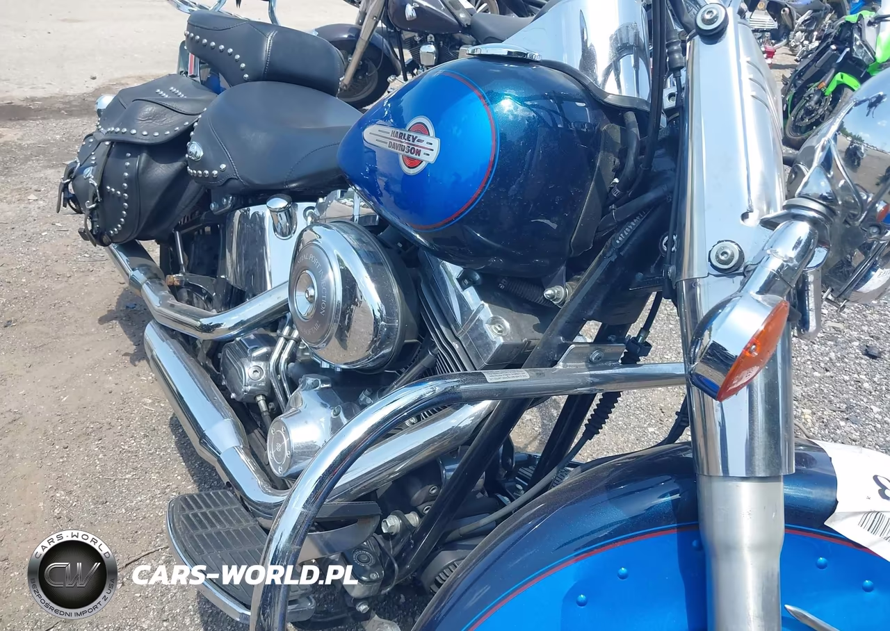 2004 Harley-Davidson Flstci VIN:1HD1BWB114Y040715 - 8