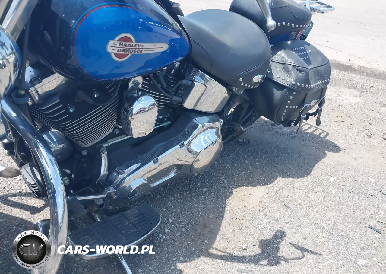 2004 Harley-Davidson Flstci VIN:1HD1BWB114Y040715 - 9
