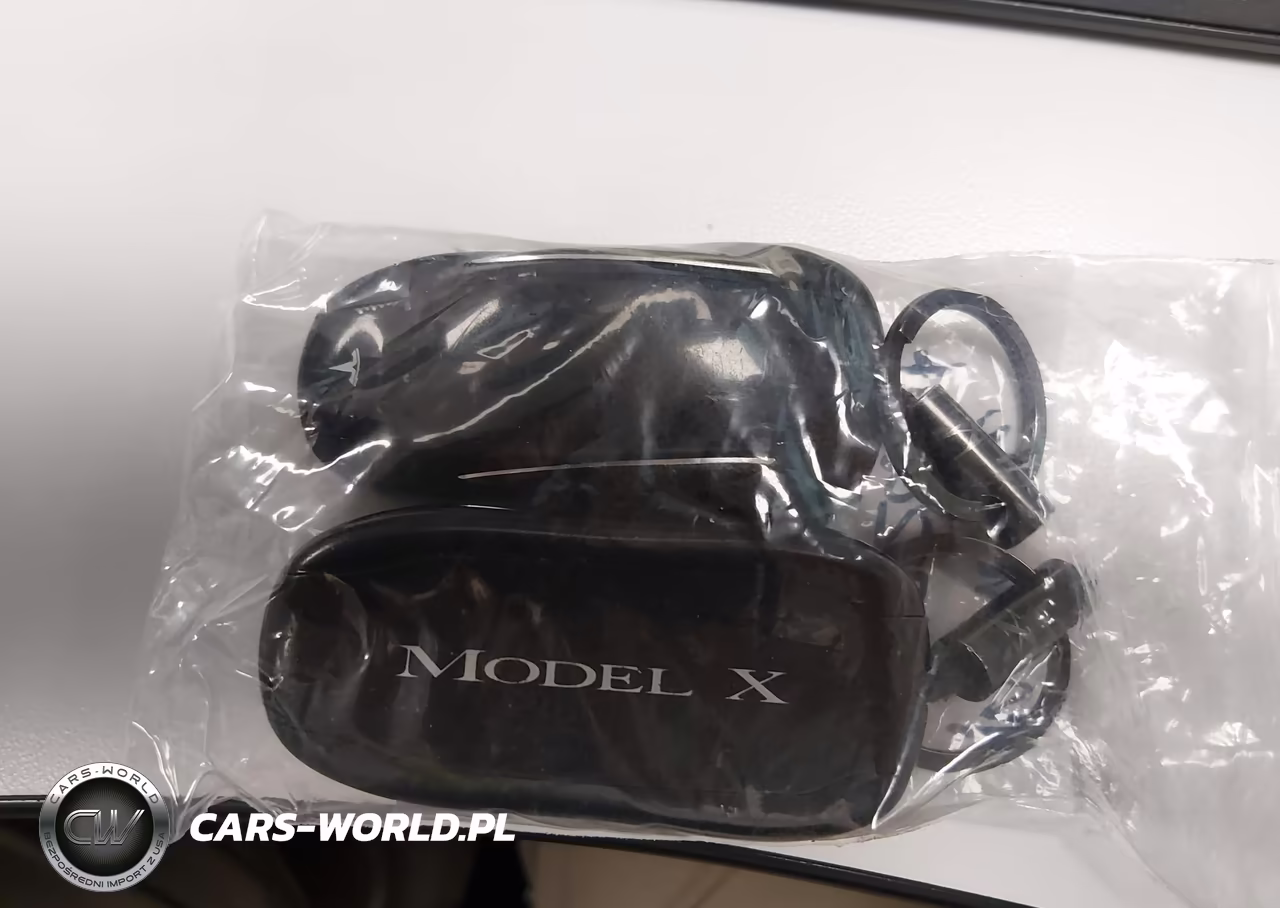 2019 Tesla Model X 100D-75D-Long Range VIN:5YJXCAE2XKF185734 - 10
