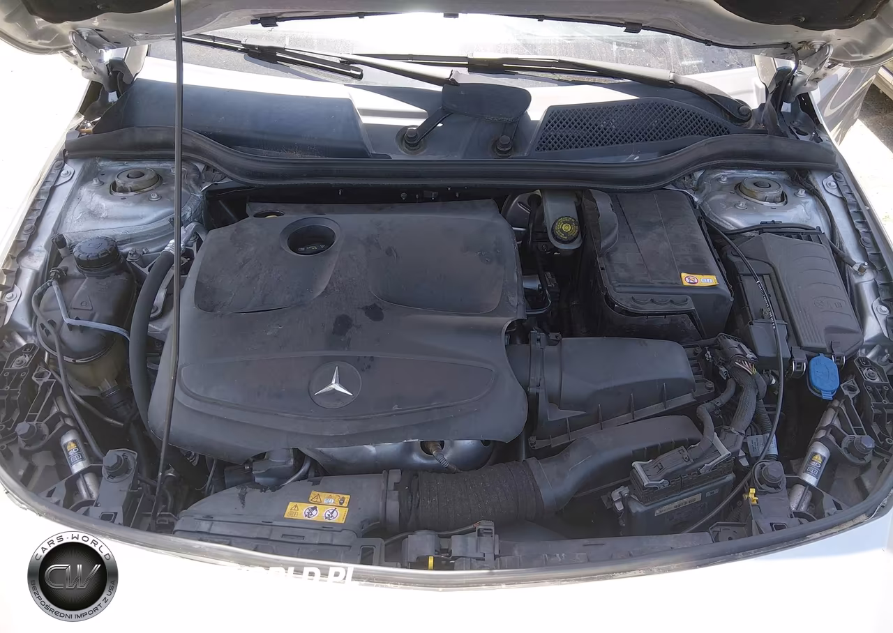 2014 Mercedes-Benz Cla 250 VIN:WDDSJ4EB3EN038443 - 10