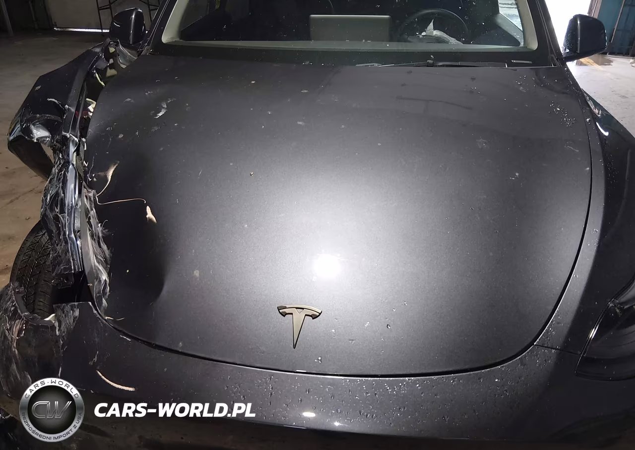 2024 Tesla Model Y Long Range Dual Motor All-Wheel Drive VIN:7SAYGDEE6RA325535 - 10