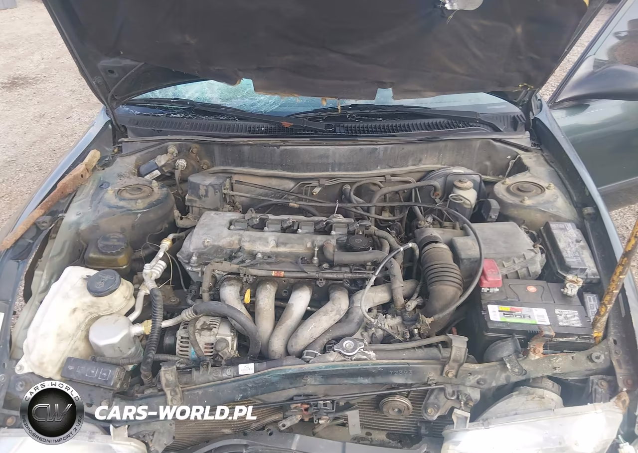2001 Chevrolet Prizm VIN:1Y1SK52891Z418231 - 10